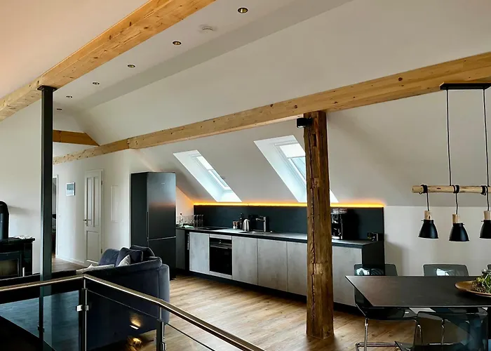 Apartman Steinberg *